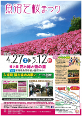 芝桜祭り開催のお知らせ Highslide JS